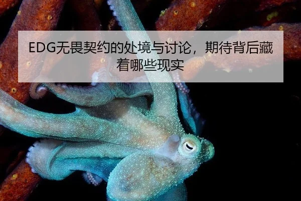 wu-wei-qi-yue-de-chu-jing-yu-tao-lun-qi-dai-bei-hou-cang-zhe-na-xie-xian-shi-2-334.jpg